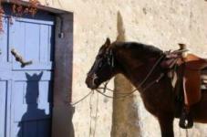relais questre